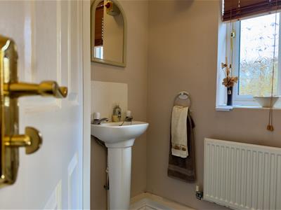 Picture 13